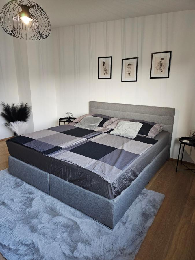 Cosy & Elegant Cityhouse With Garden Bécs Kültér fotó